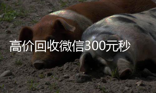 高价回收微信30回收微信号官网0元秒结（回收快手号秒结账）